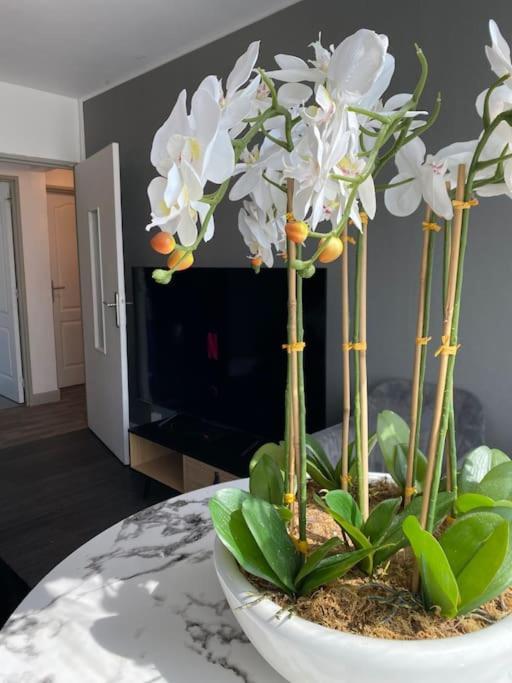 Appartement Familial Wifi Netflix Amazon Prime Saint-Cyr-lʼÉcole Εξωτερικό φωτογραφία